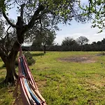 Countryside Experience