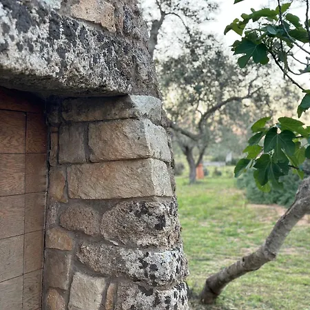 Countryside Experience Holiday home *