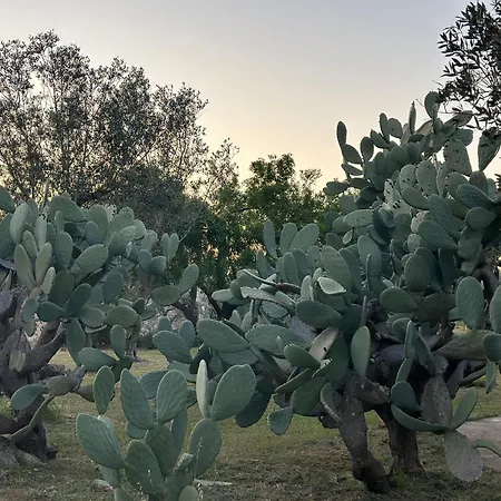 Countryside Experience Semesterbostad Corigliano dʼOtranto