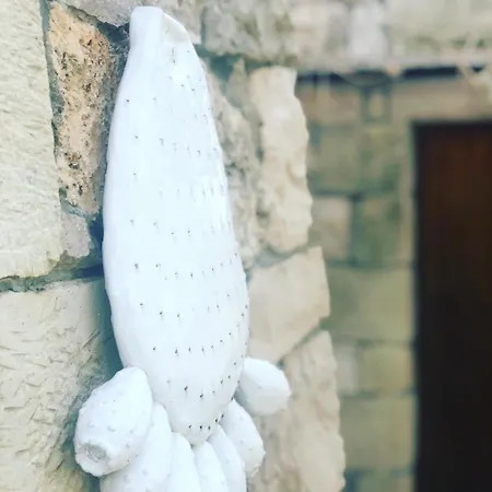 Countryside Experience *