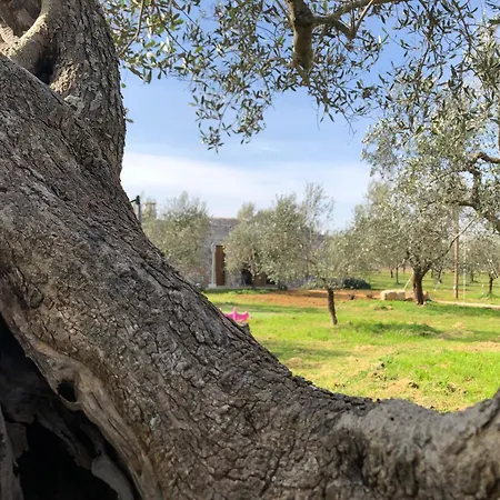 Holiday home Countryside Experience