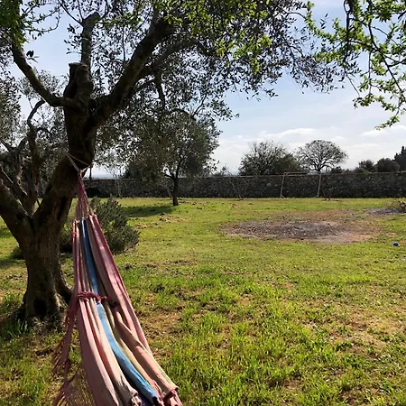 Countryside Experience