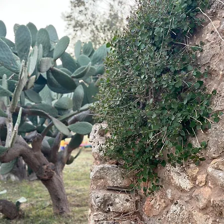 Countryside Experience Feriehus