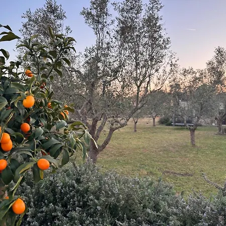 Countryside Experience *