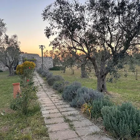 Countryside Experience بيت للعطل