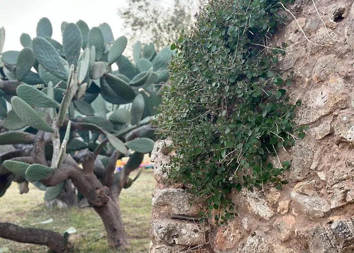 Countryside Experience Tatil Evi