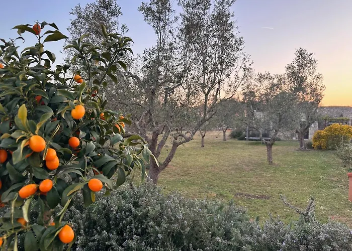 Countryside Experience *