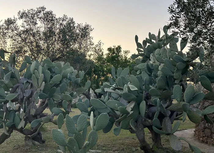 Countryside Experience Tatil Evi Corigliano dʼOtranto