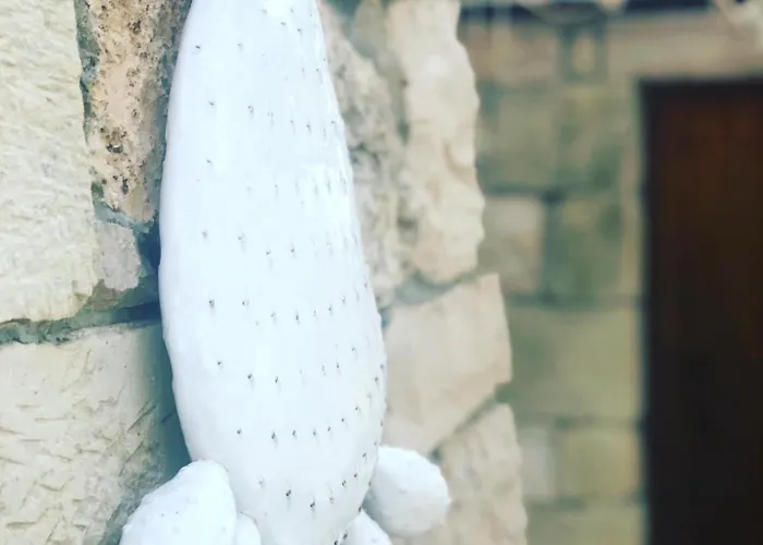 Countryside Experience *