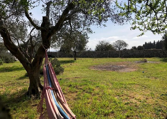 Countryside Experience